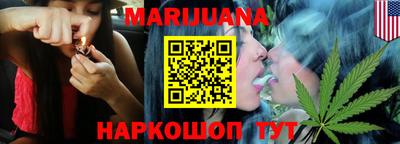 сатива Ставрополь