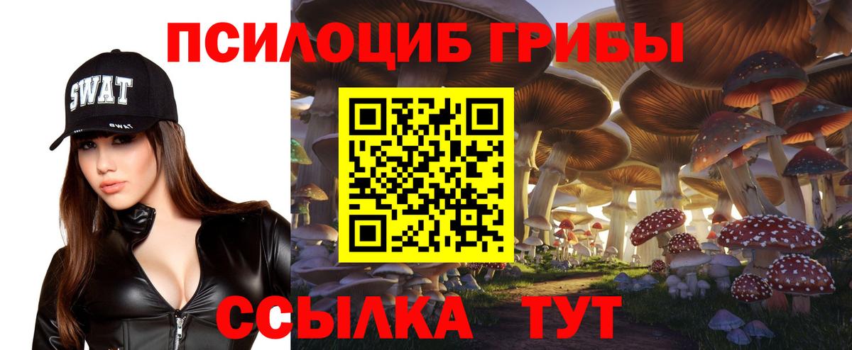 Галлюциногенные грибы Psilocybe Кандалакша